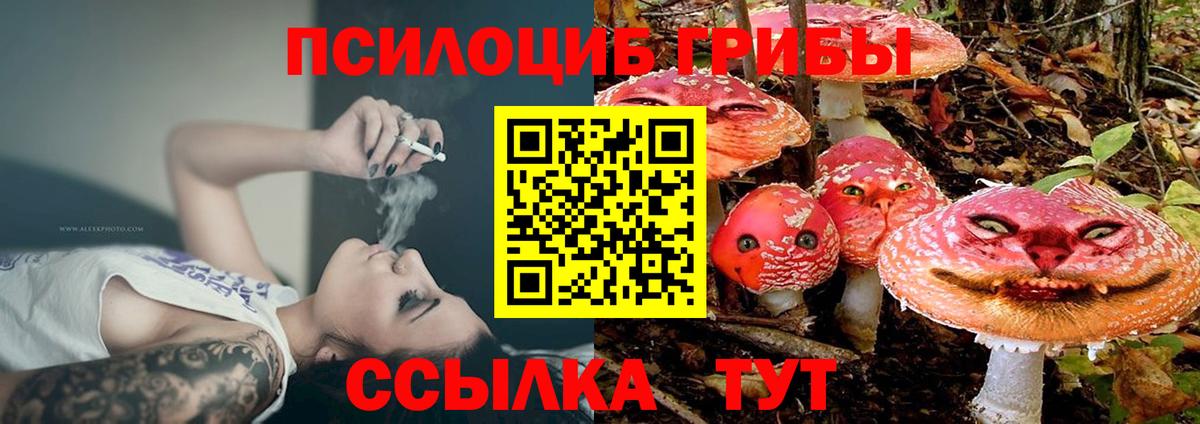 Галлюциногенные грибы ЛСД  хочу наркоту  Полысаево  Вход с VPN 